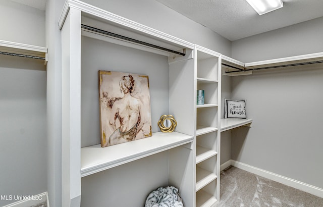 spacious closet with light colored carpet