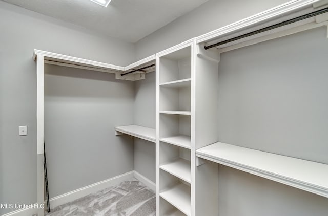 spacious closet with light carpet