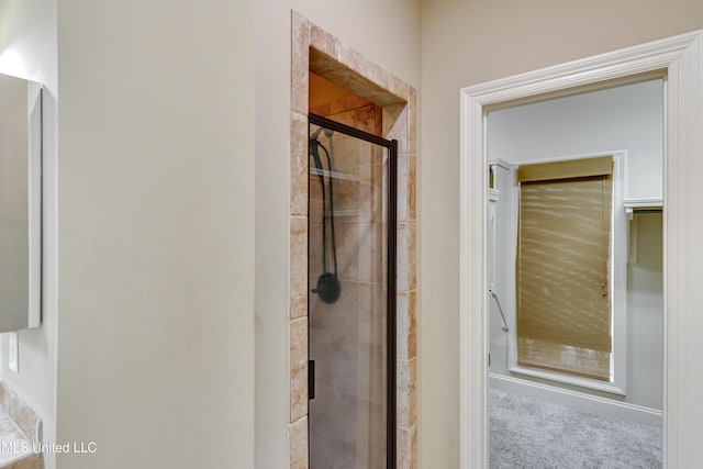 bathroom featuring a shower with shower door