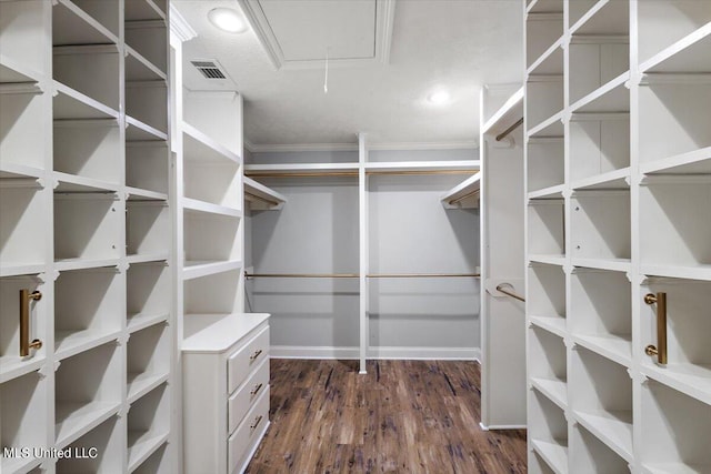 spacious closet with dark wood-type flooring