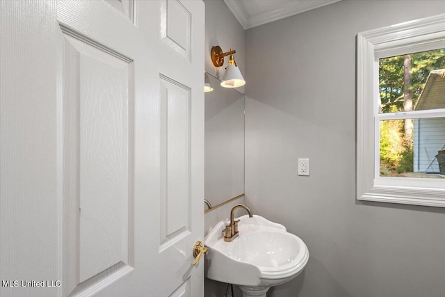 bathroom with crown molding and sink