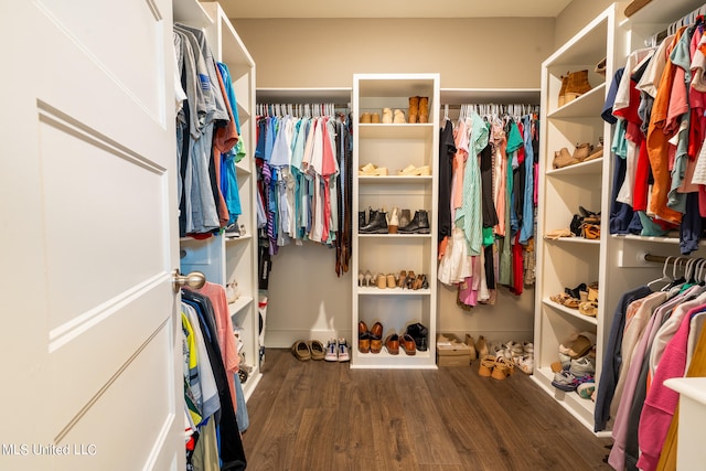 spacious closet with dark wood-type flooring