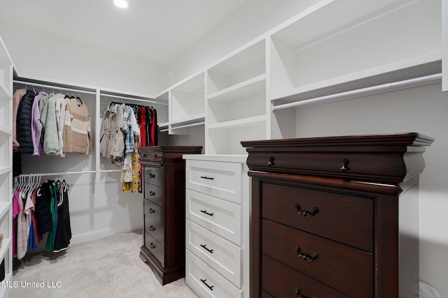 spacious closet with light carpet