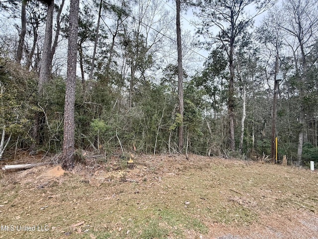 8497 Op La Way, Diamondhead MS, 39525 land for sale