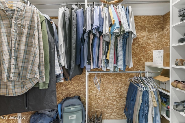 view of spacious closet