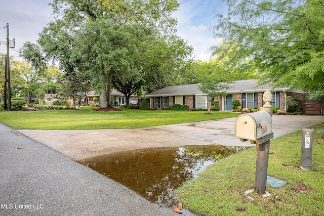 ranch-style home featuring a front yard, concrete driveway, and a shingled roof