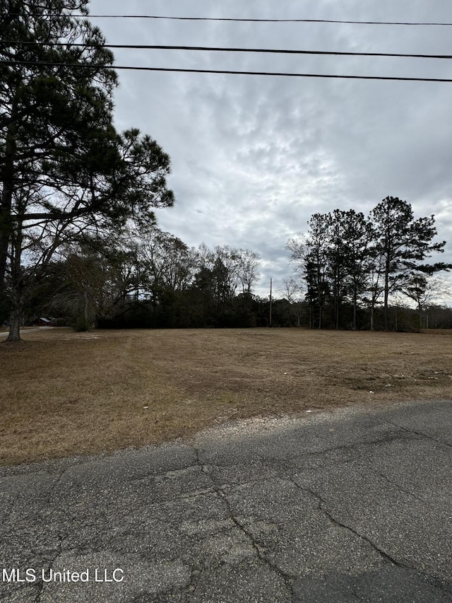 George Mitchell Rd, Carriere MS, 39426 land for sale