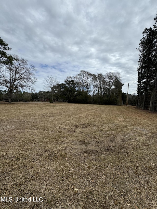 Listing photo 2 for George Mitchell Rd, Carriere MS 39426