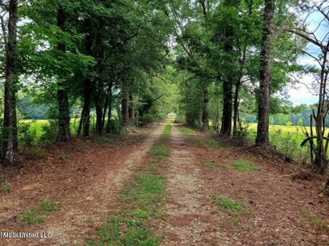 809 Osborn Moody Rd, Poplarville MS, 39470 land for sale