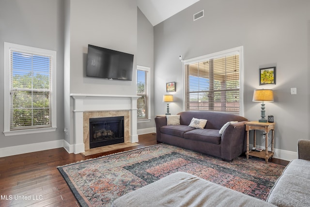 3841 Chateau Cv, Ocean Springs, MS 39564 - living room with high vaulted ceiling, wood finished floors, and a fireplace with flush hearth