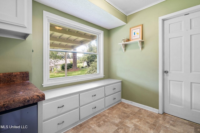 530 Oakhurst Dr, Hernando, MS 38632 - detailed view of baseboards and ornamental molding