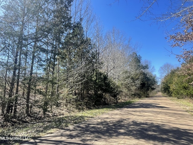 Darden Rd, Pocahontas MS, 39209 land for sale