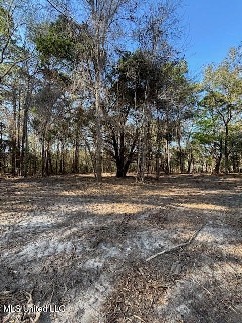 11900 Johns Bayou Rd, Vancleave, MS 39565