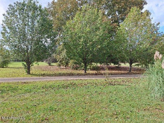 view of yard featuring a rural view