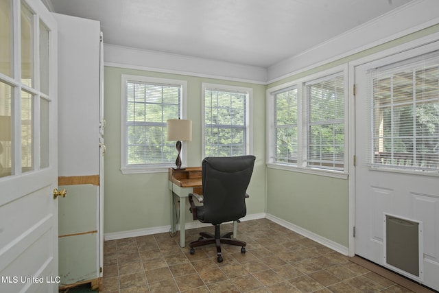 office space with crown molding