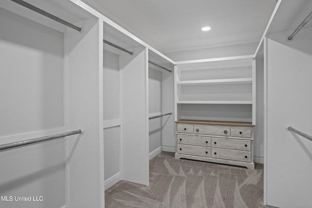 spacious closet with light carpet