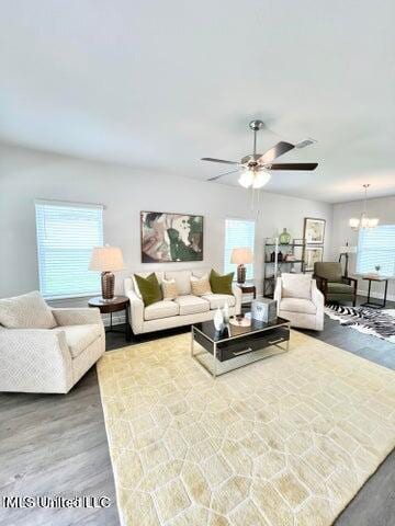 living room with a wealth of natural light, ceiling fan with notable chandelier, and hardwood / wood-style floors