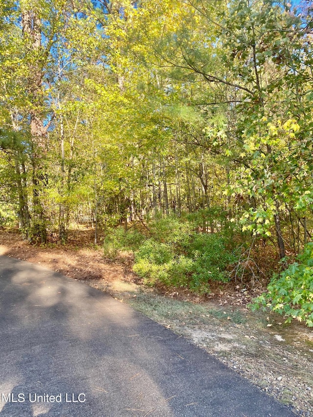 Listing photo 2 for 00 Little Creek Rd, Flowood MS 39232