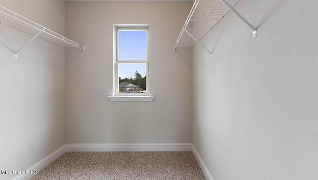 walk in closet featuring carpet floors