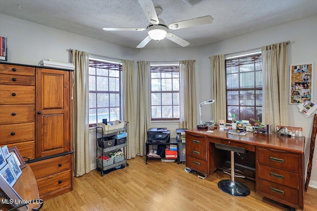 office featuring ceiling fan, a textured ceiling, and light wood-style floors