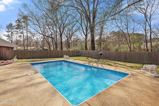 view of pool featuring a patio, a fenced backyard, and a fenced in pool