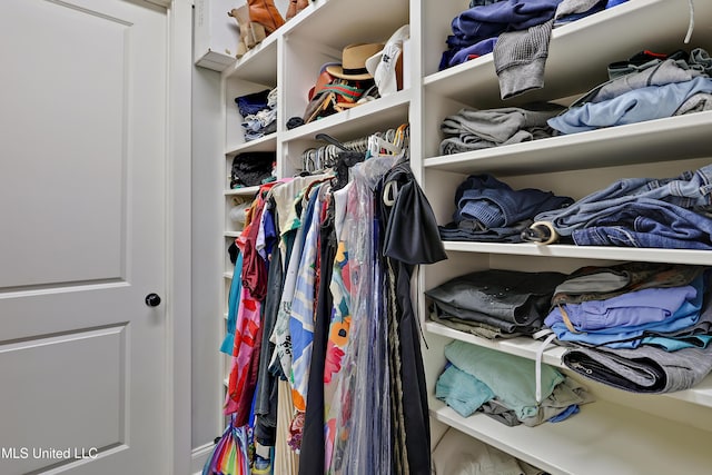233 Arbor Trl, Brandon, MS 39047 - view of spacious closet