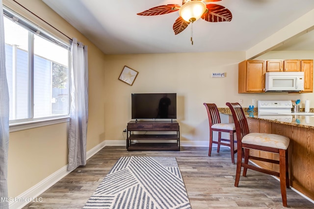 interior space with hardwood / wood-style flooring and ceiling fan