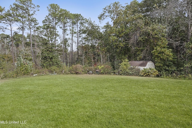 view of yard with a storage unit