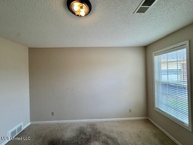 7428 Wallingford Dr, Olive Branch, MS 38654 - carpeted spare room featuring baseboards and a textured ceiling