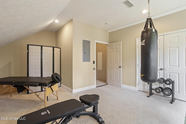130 Pine Lake Cv, Flora, MS 39071 - exercise room with visible vents, light carpet, baseboards, a textured ceiling, and electric panel