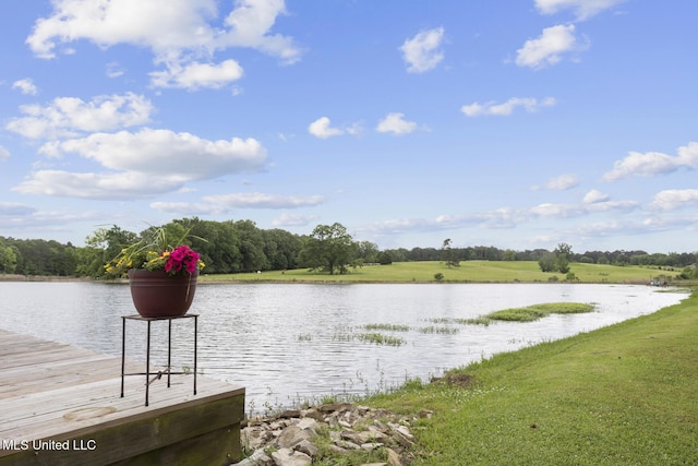 130 Pine Lake Cv, Flora, MS 39071 - view of water feature