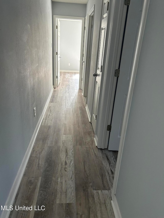 corridor featuring dark hardwood / wood-style floors