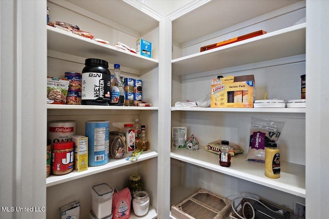 102 Hampton Chase, Madison, MS 39110 - view of pantry