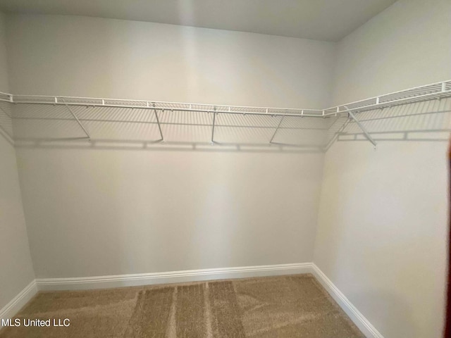 spacious closet with carpet floors