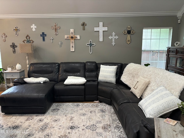 living area featuring ornamental molding