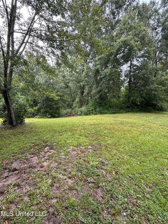 view of yard with a view of trees