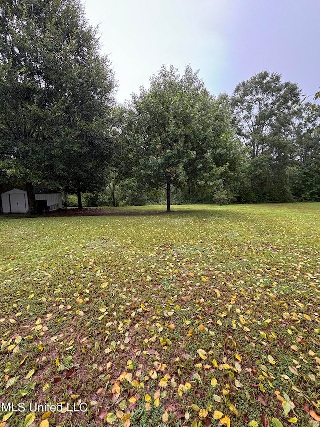 view of yard with an outdoor structure and a storage unit