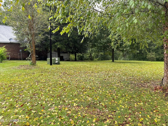 view of yard featuring a storage shed and an outdoor structure