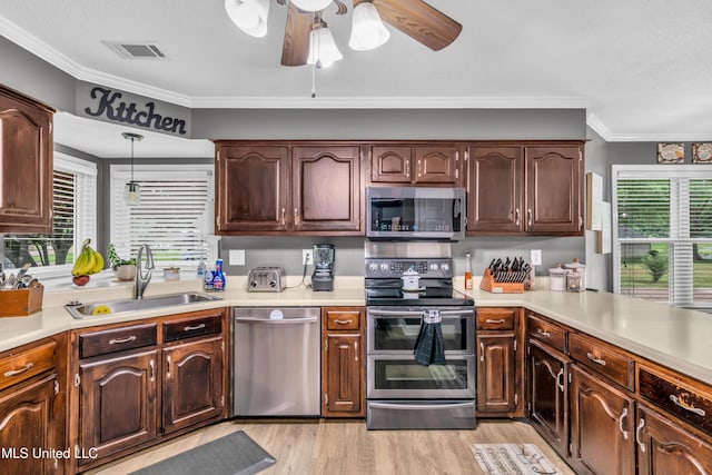 kitchen with appliances with stainless steel finishes, a sink, a ceiling fan, plenty of natural light, and crown molding