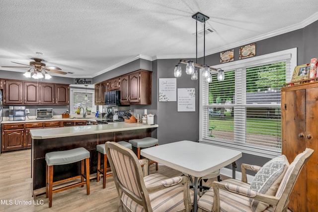 dining room with a textured ceiling, healthy amount of natural light, light wood-style floors, ornamental molding, and a ceiling fan