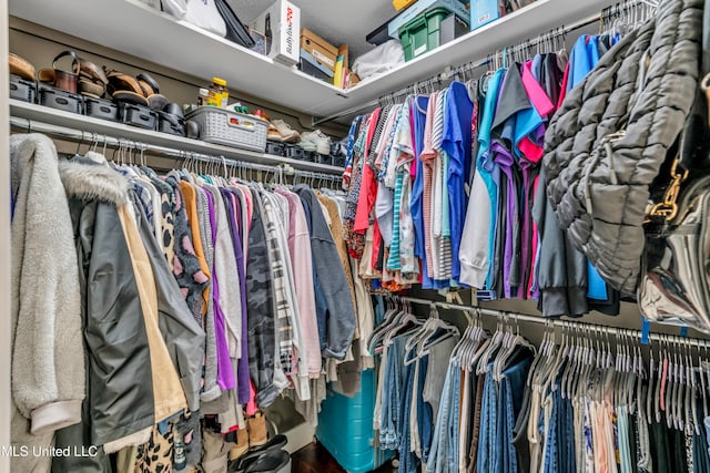 view of spacious closet