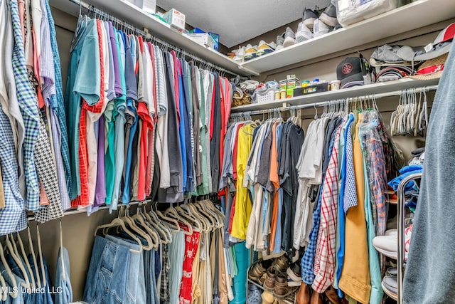 view of walk in closet
