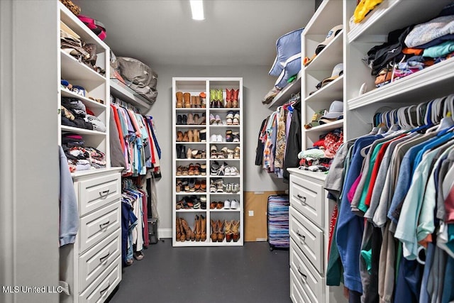 view of walk in closet