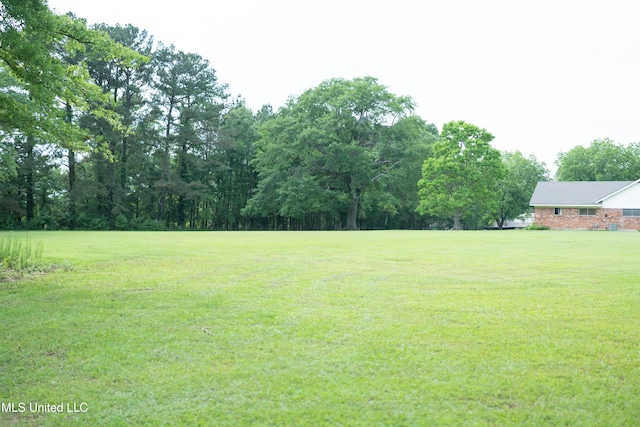 324 Bob White Dr, Canton, MS 39046 - view of grassy yard