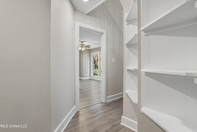 walk in closet featuring ceiling fan and hardwood / wood-style floors