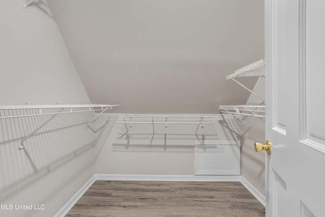 spacious closet with wood-type flooring