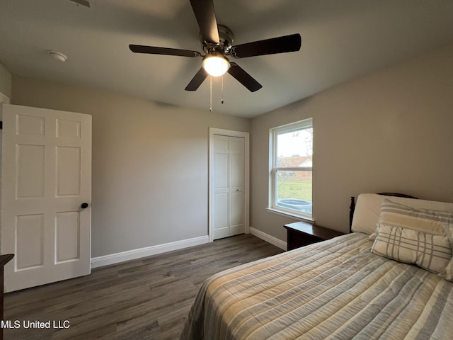 bedroom with ceiling fan, dark hardwood / wood-style flooring, and a closet