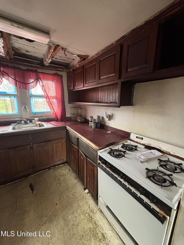 kitchen featuring a sink, white gas stove, light floors, and dark brown cabinets