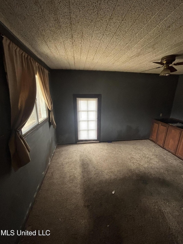 interior space with carpet, a ceiling fan, and a wealth of natural light