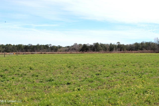 Yellow Bluff Rd, Lucedale MS, 39452 land for sale